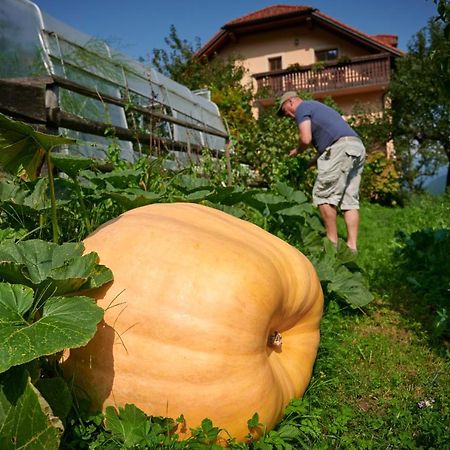 Willa Tourist Farm Kolar Ljubno Zewnętrze zdjęcie