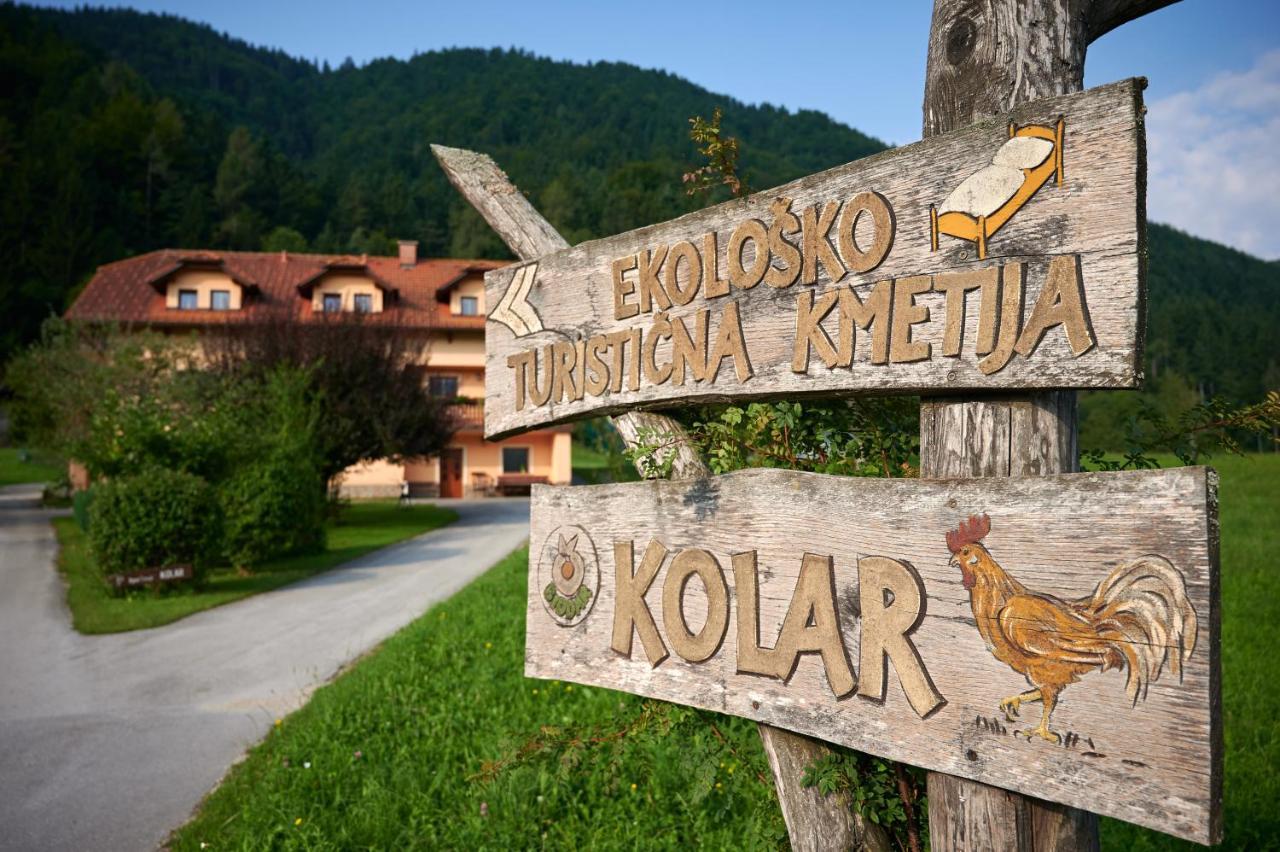 Willa Tourist Farm Kolar Ljubno Zewnętrze zdjęcie