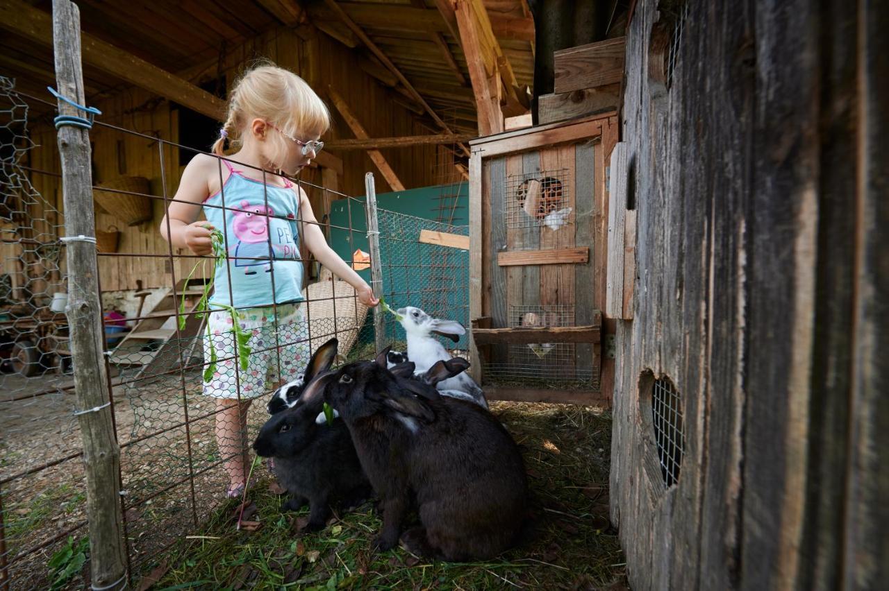 Willa Tourist Farm Kolar Ljubno Zewnętrze zdjęcie