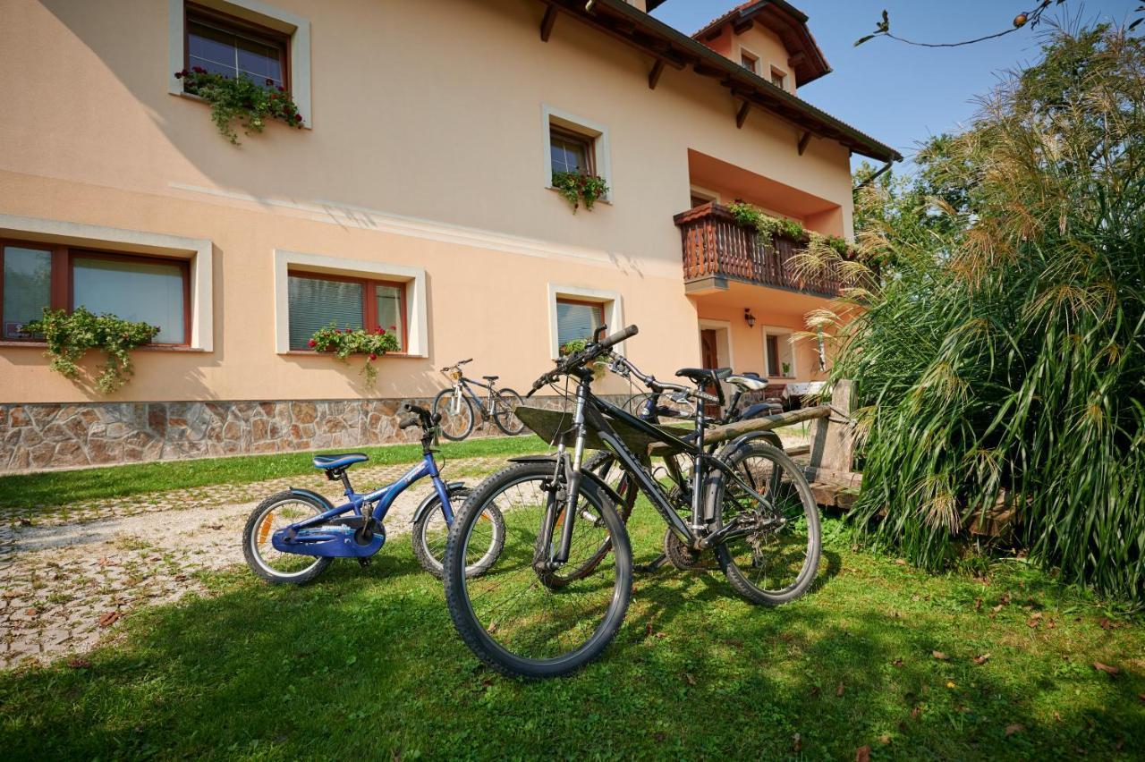 Willa Tourist Farm Kolar Ljubno Zewnętrze zdjęcie