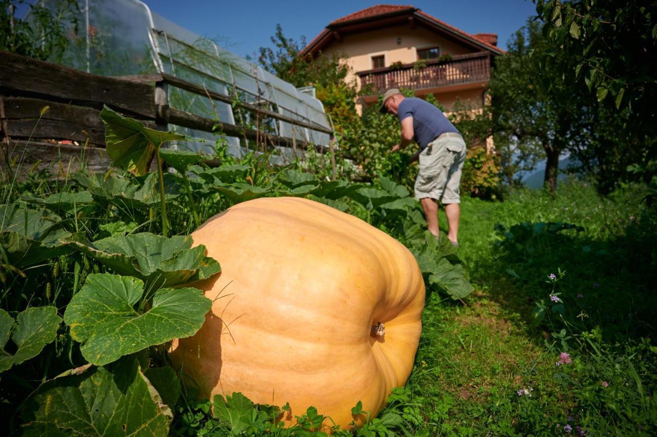 Willa Tourist Farm Kolar Ljubno Zewnętrze zdjęcie