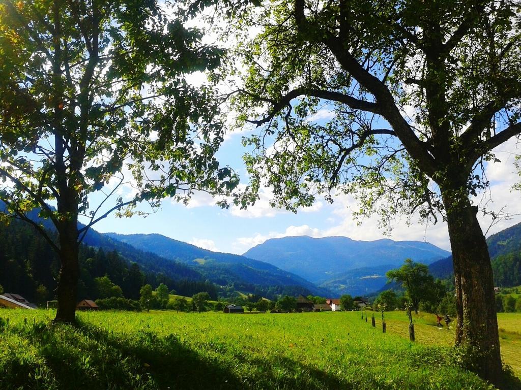 Willa Tourist Farm Kolar Ljubno Zewnętrze zdjęcie