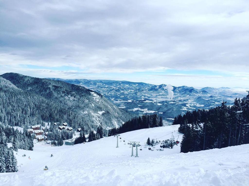 Willa Tourist Farm Kolar Ljubno Zewnętrze zdjęcie